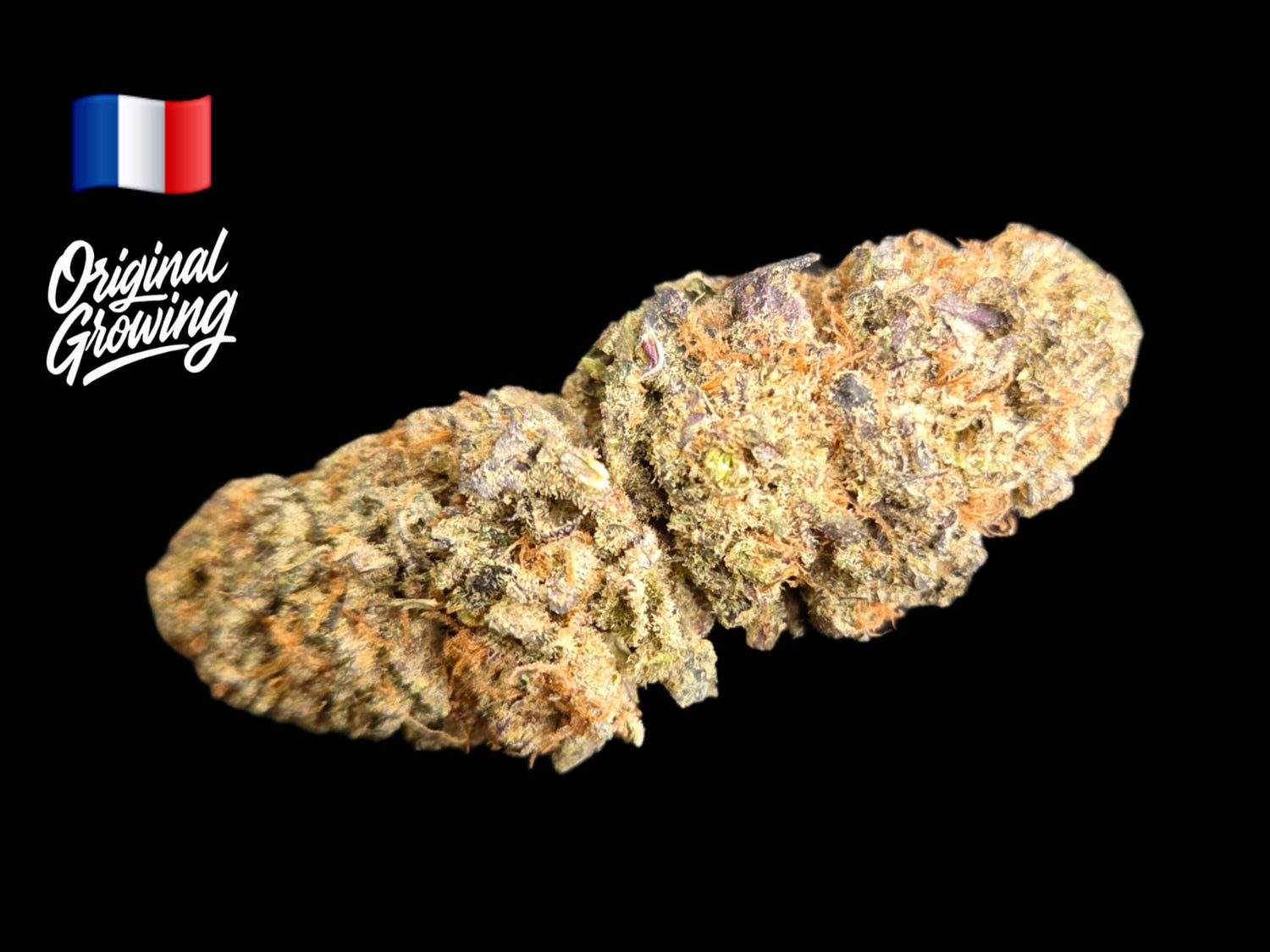 Cali Cream - CBD Indoor Hydro