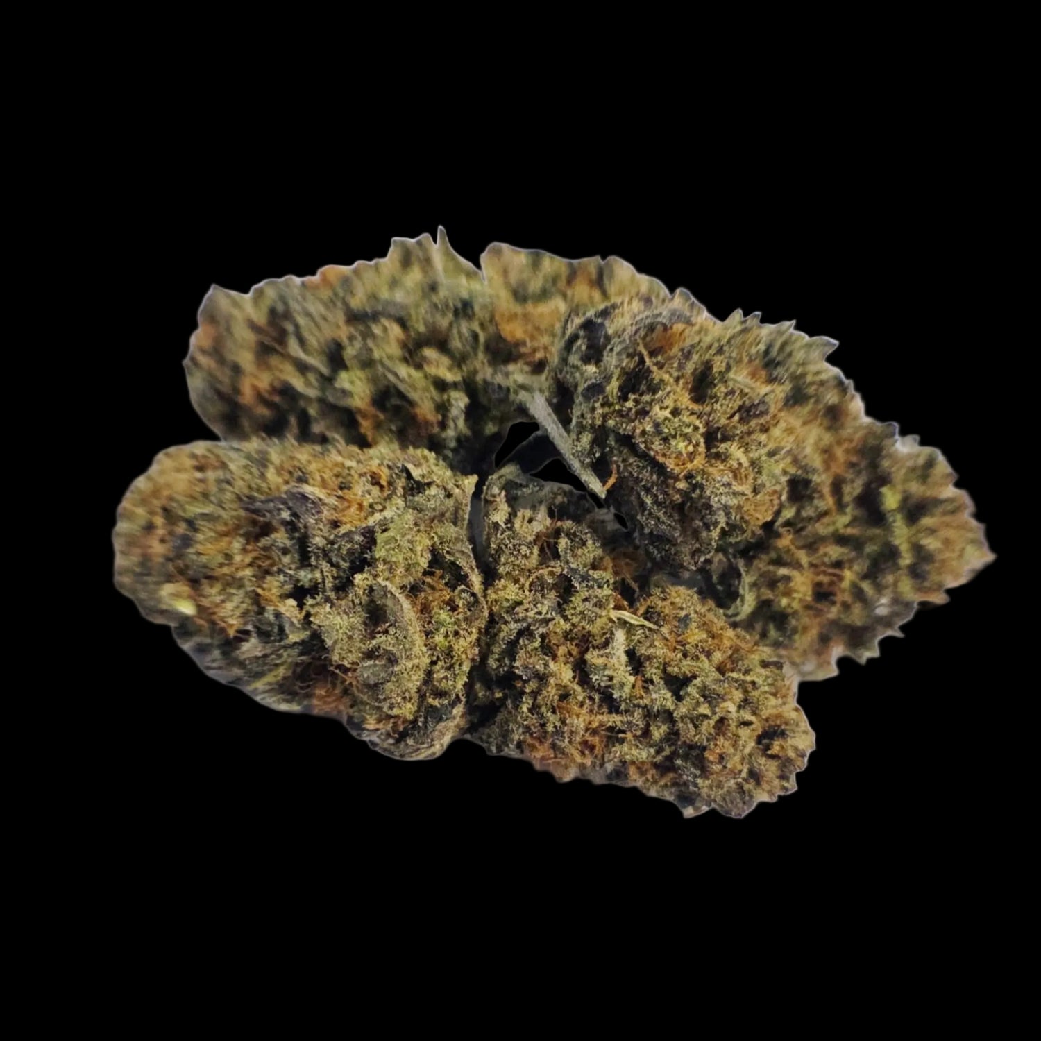 Cali Cream - CBD Indoor Hydro