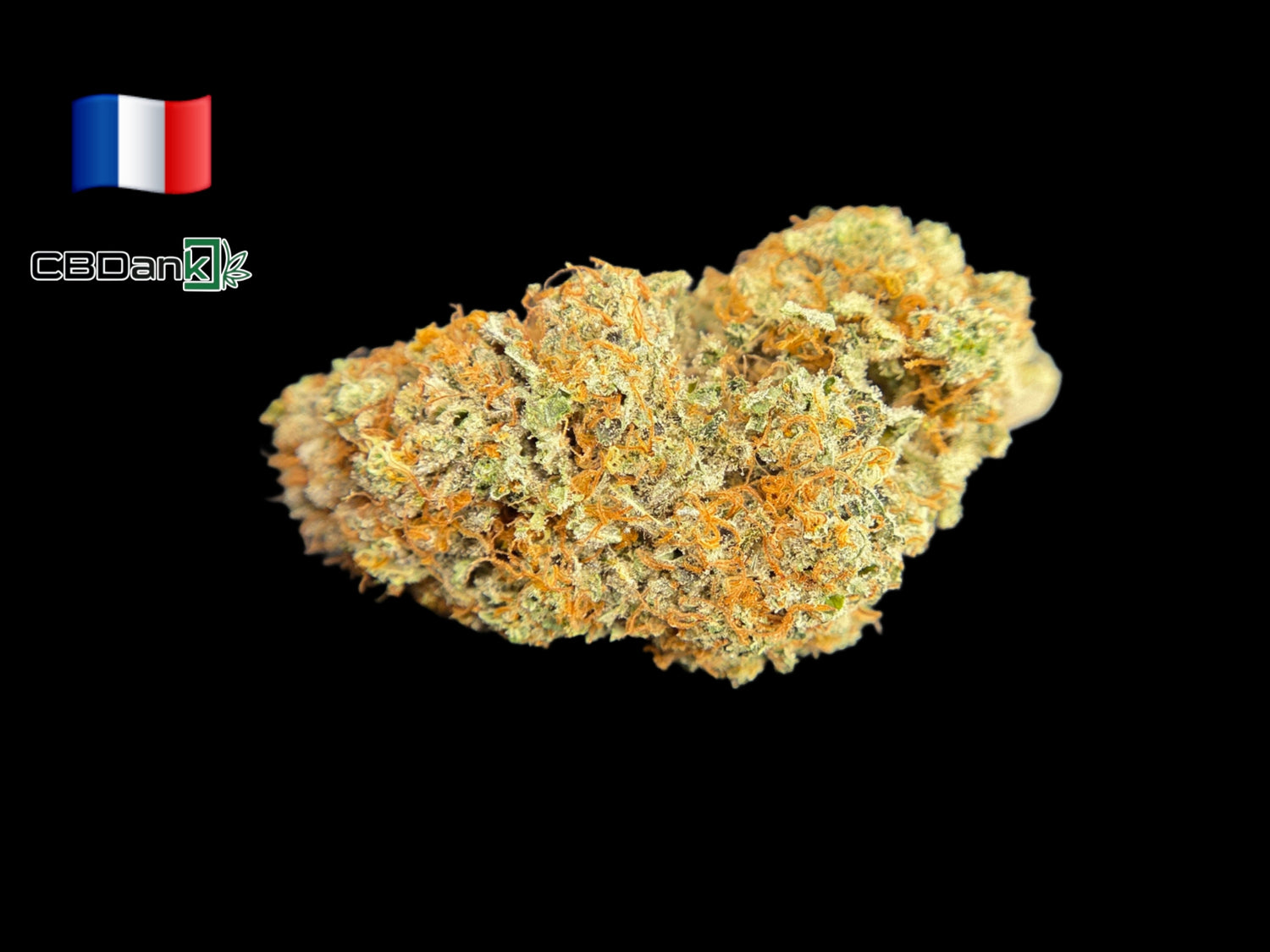 Maracuja fleur de cbd by CBDank indoor living soil