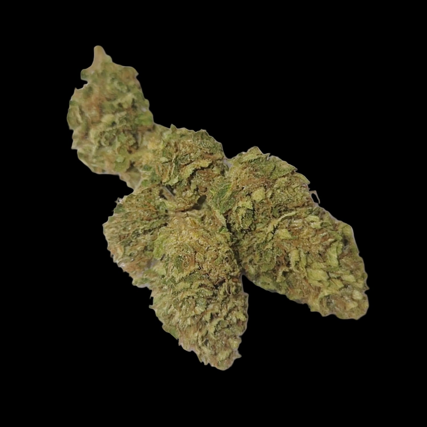 strawberry lemonade kush, fleur cbd outdoor de la fleur des anges