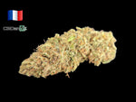 Felur de cbd Zenythis by CBDank indoor living soil