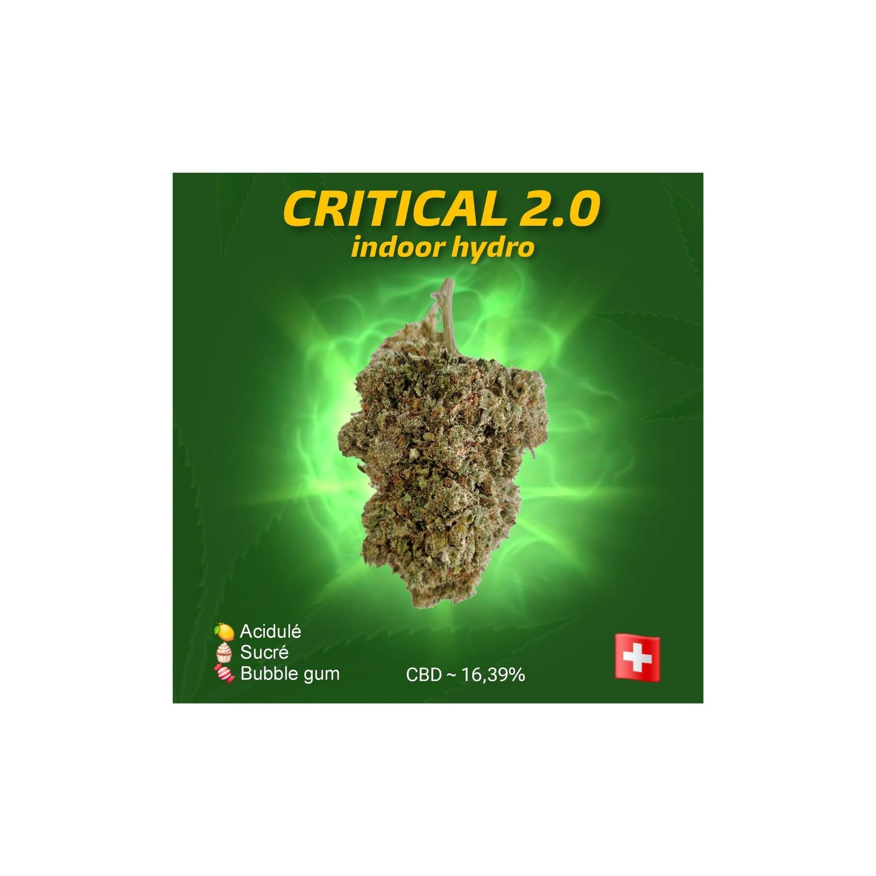Détails Big bud Criticial 2.0 hydro CBD