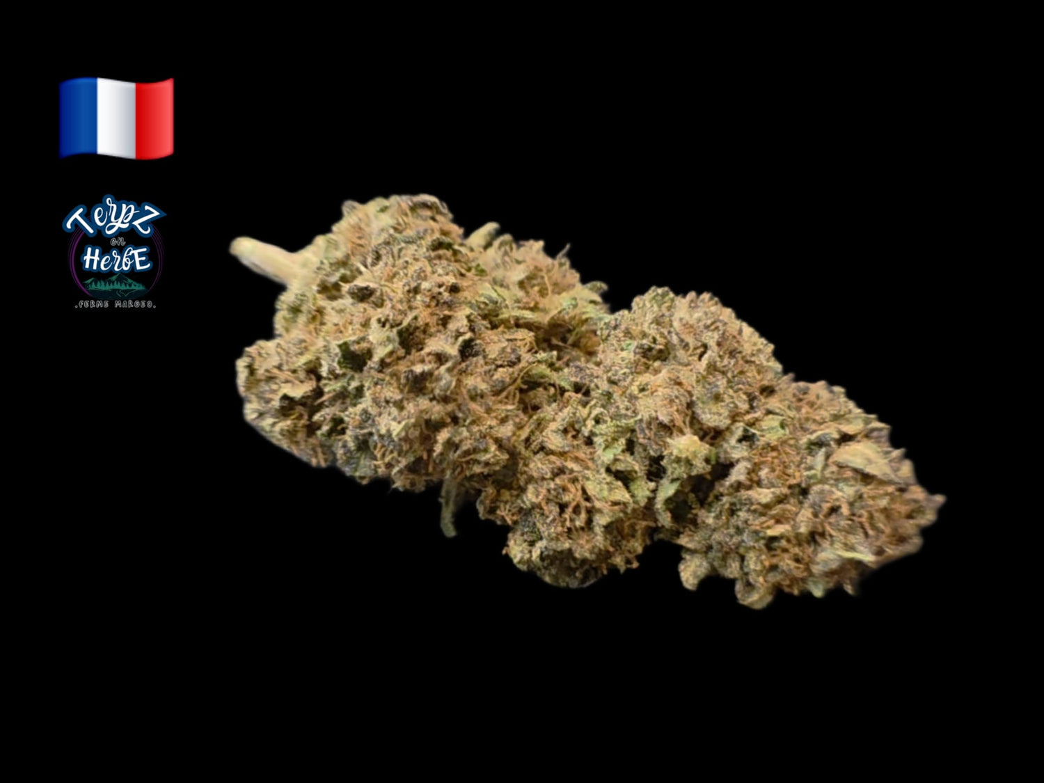 Fleur CBD Chocolate Covered Strawberry Light Dep Terpz en Herbe aux arômes de chocolat, fraise, fruits rouges et diesel, en édition limitée.