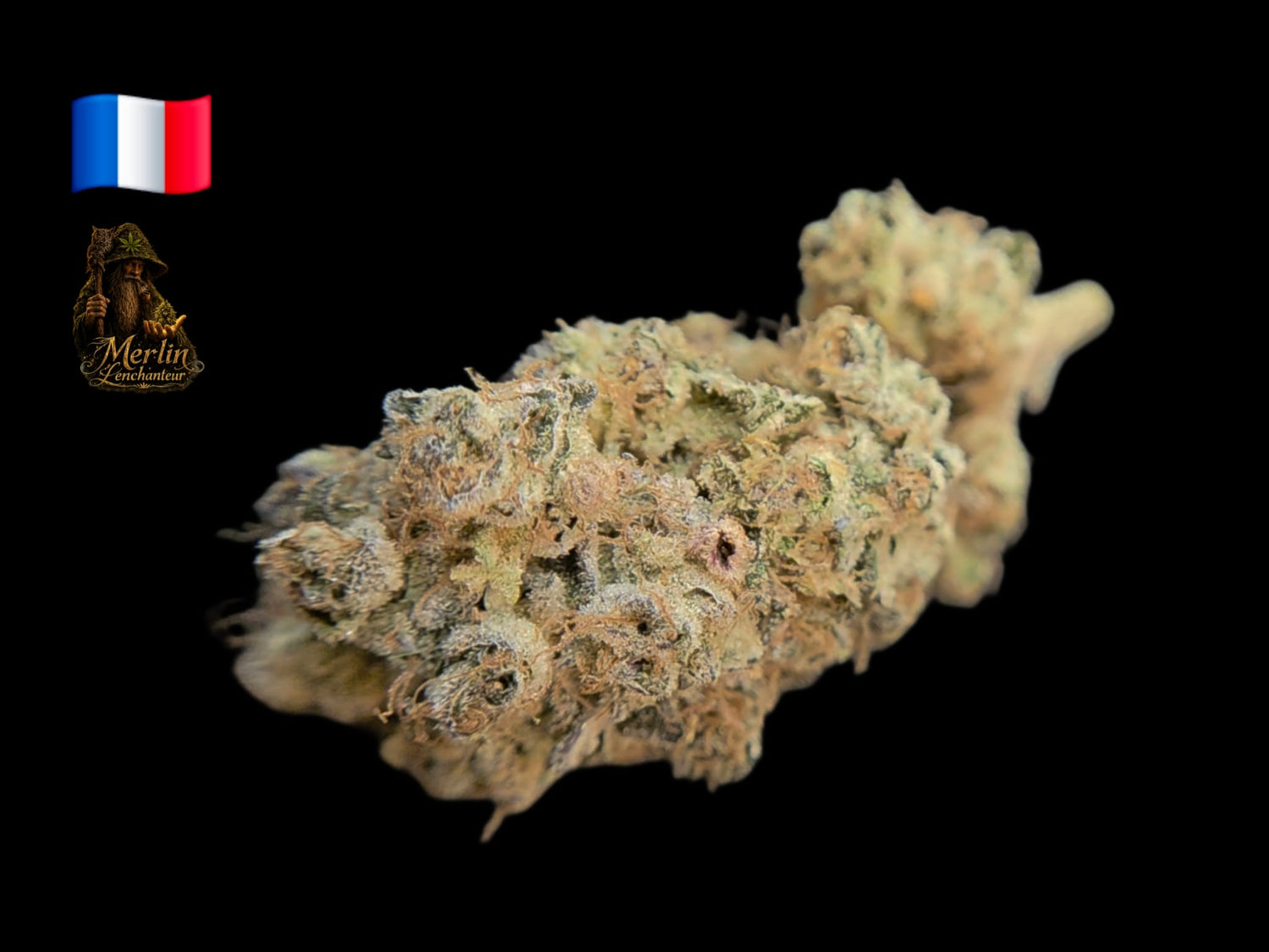 Cosmic Crumble, fleur CBD organique cultivée par Merlin l'Enchanteur en France, aux arômes de biscuit vanillé, crème, fruits rouges et agrumes, disponible chez Vapo Dream.