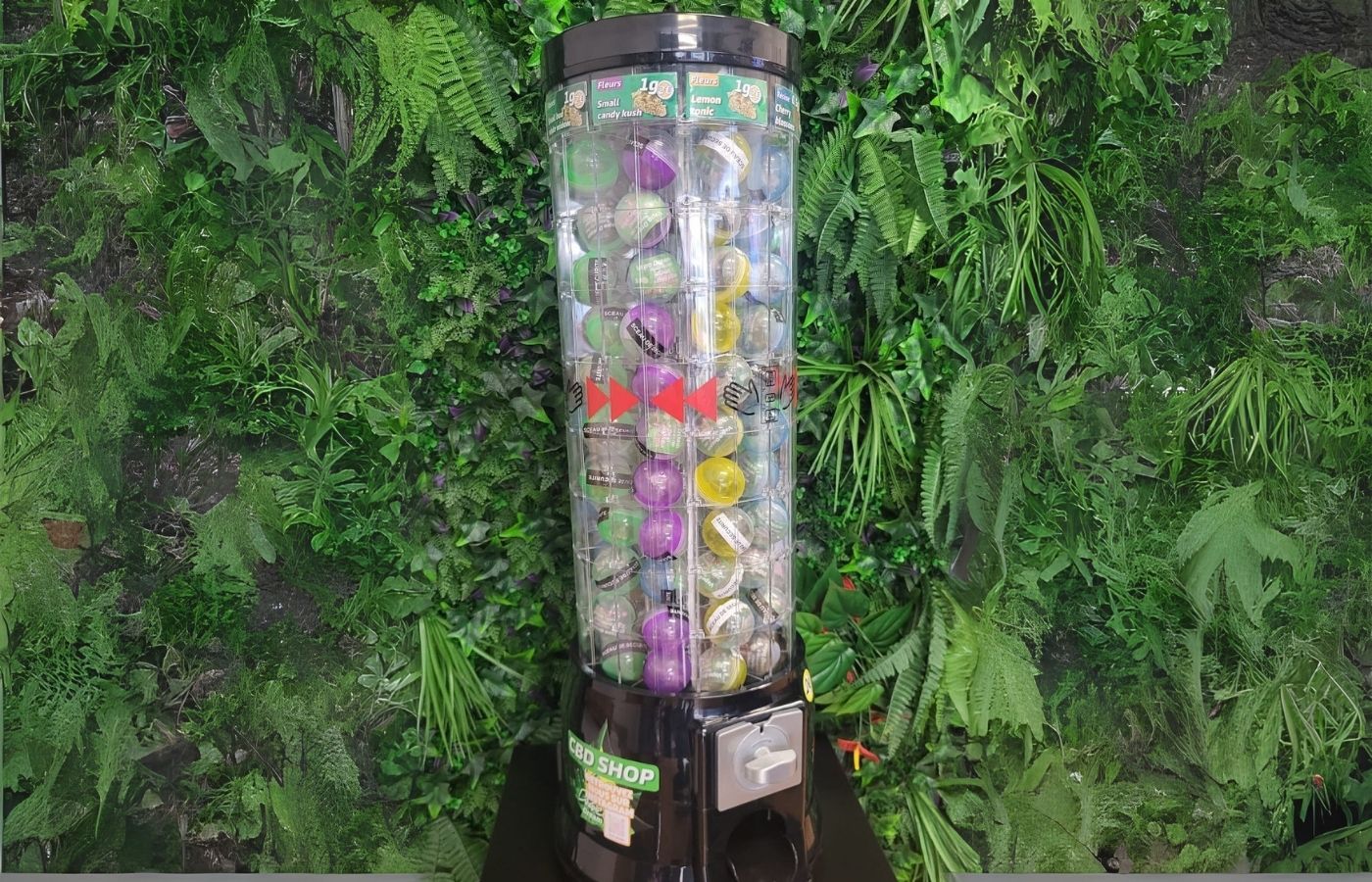 Distributeur automatique CBD Vapodream