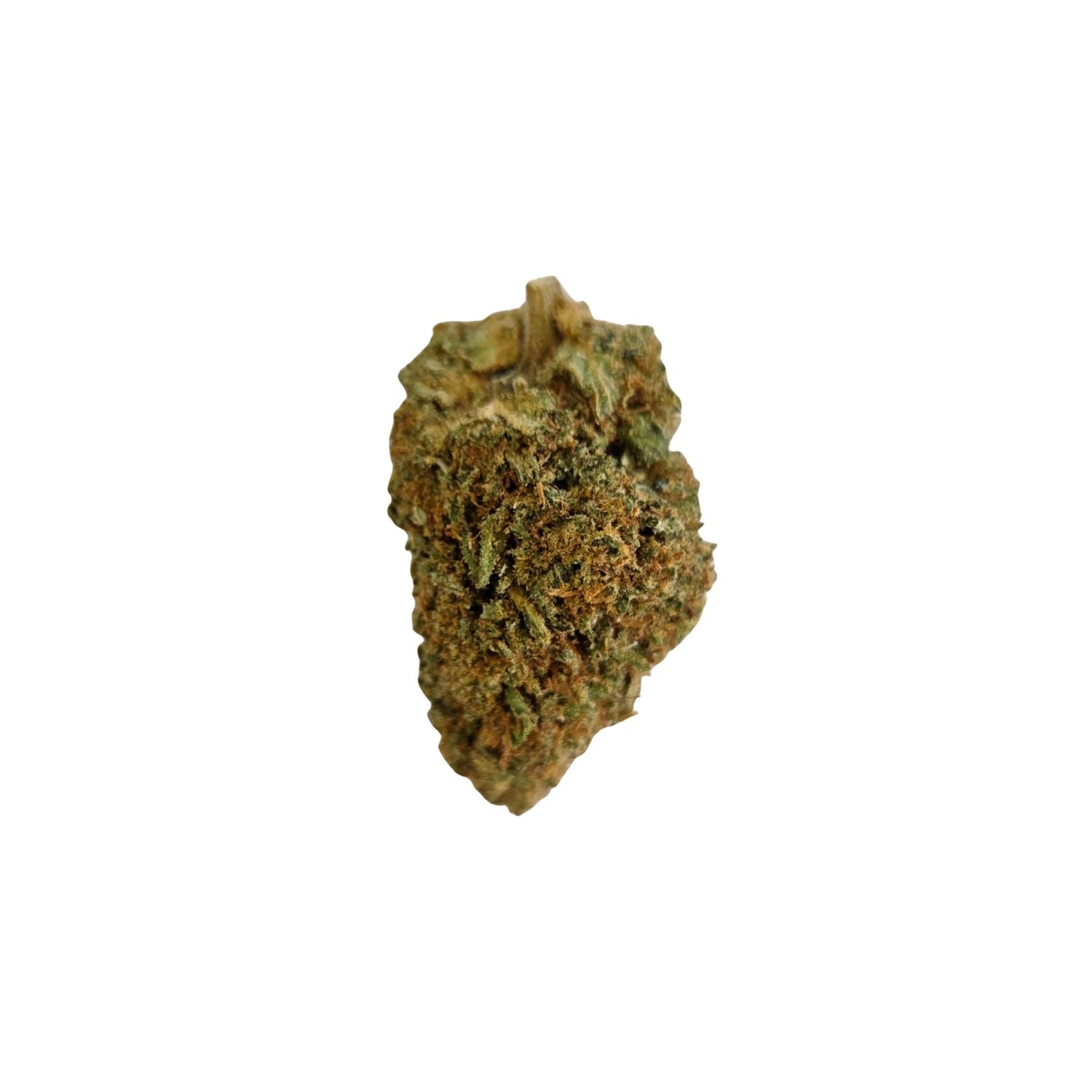 Fleurs Big bud Blueberry hydro CBD