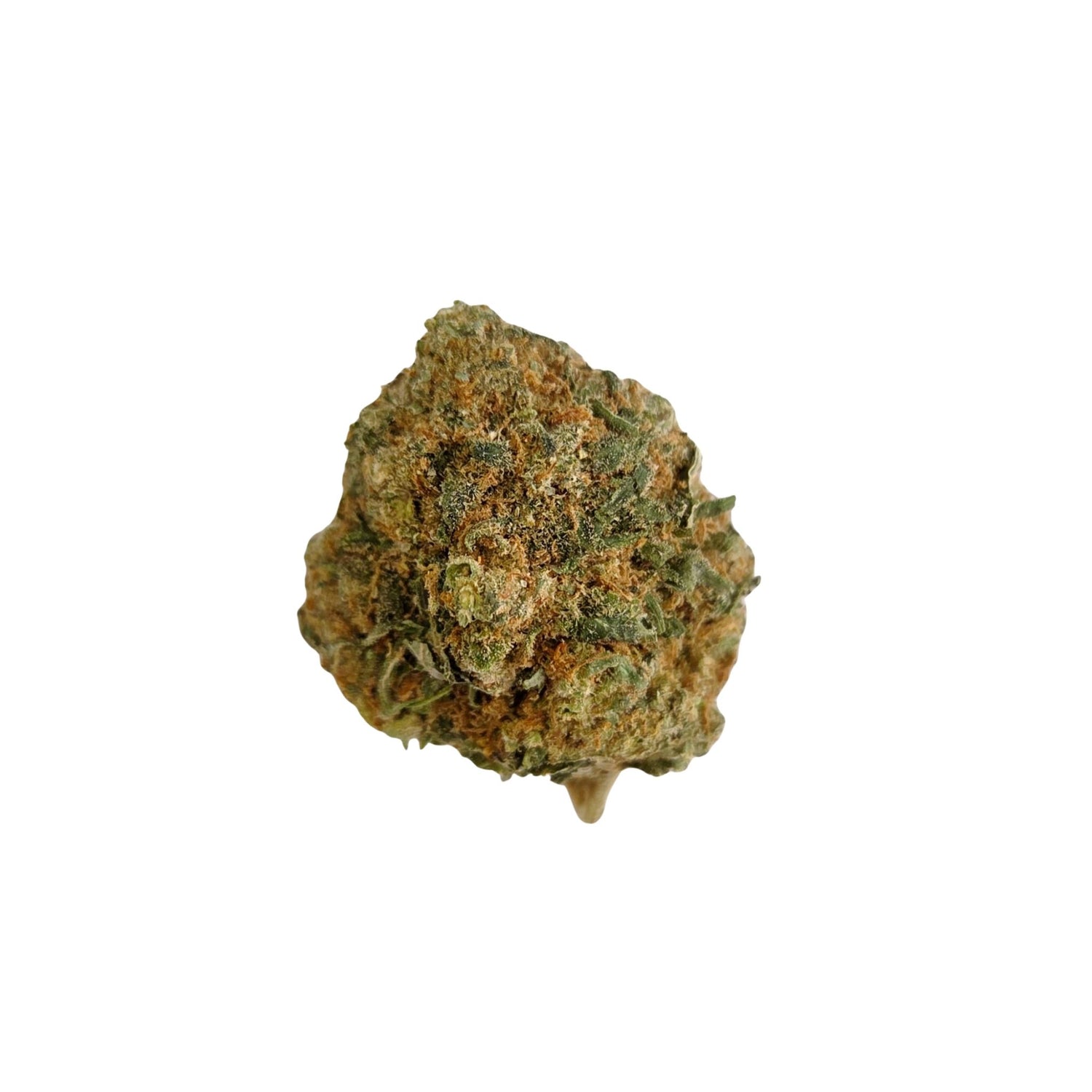 Fleurs Big bud Pineapple hydro CBD
