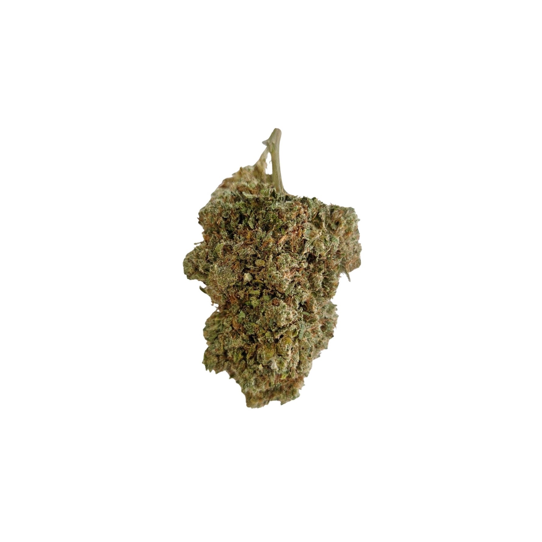 Fleurs Big bud Criticial 2.0 hydro CBD