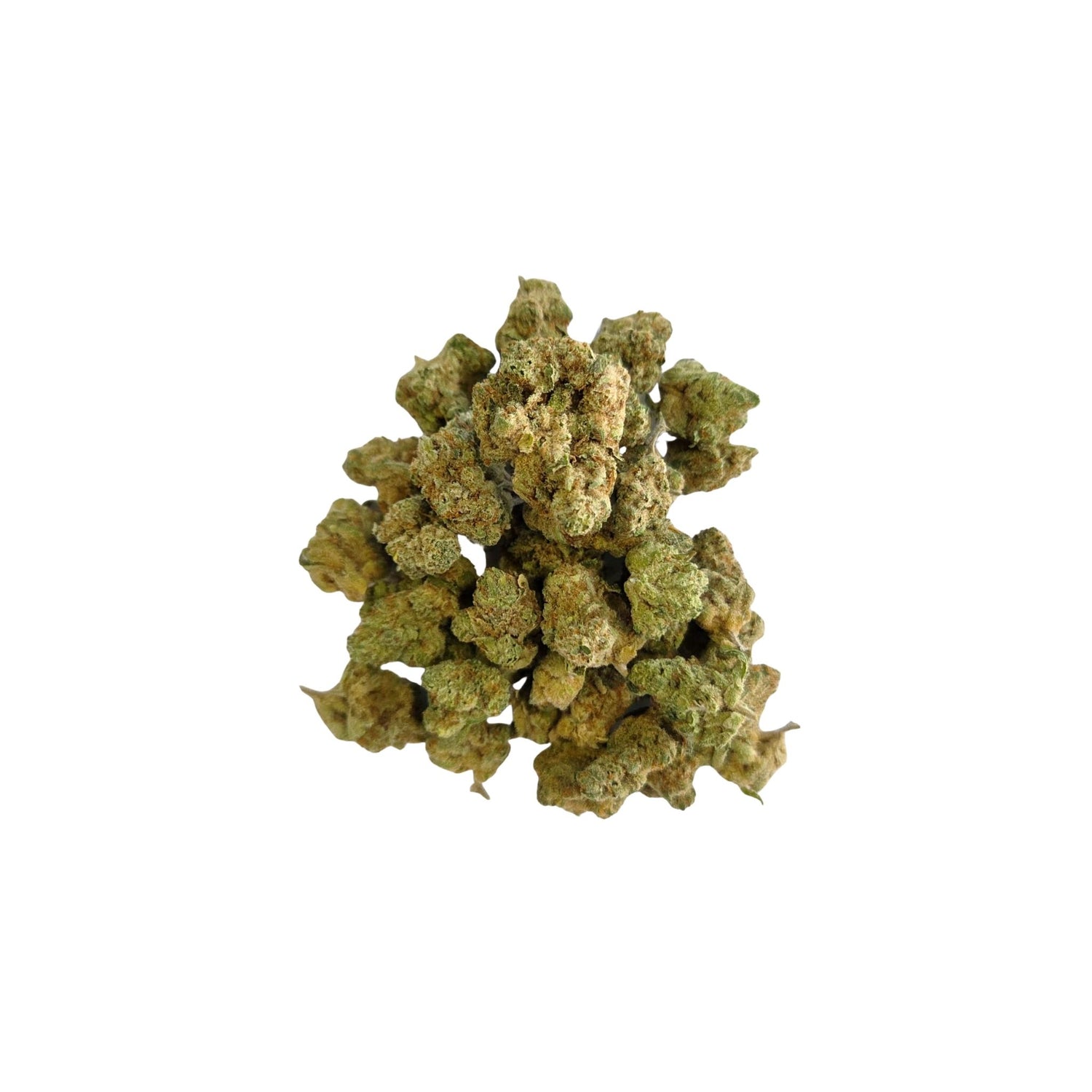 Fleurs Medium bud Amnesia haze CBD