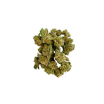 Fleurs Medium bud Charlottes's Angel CBD