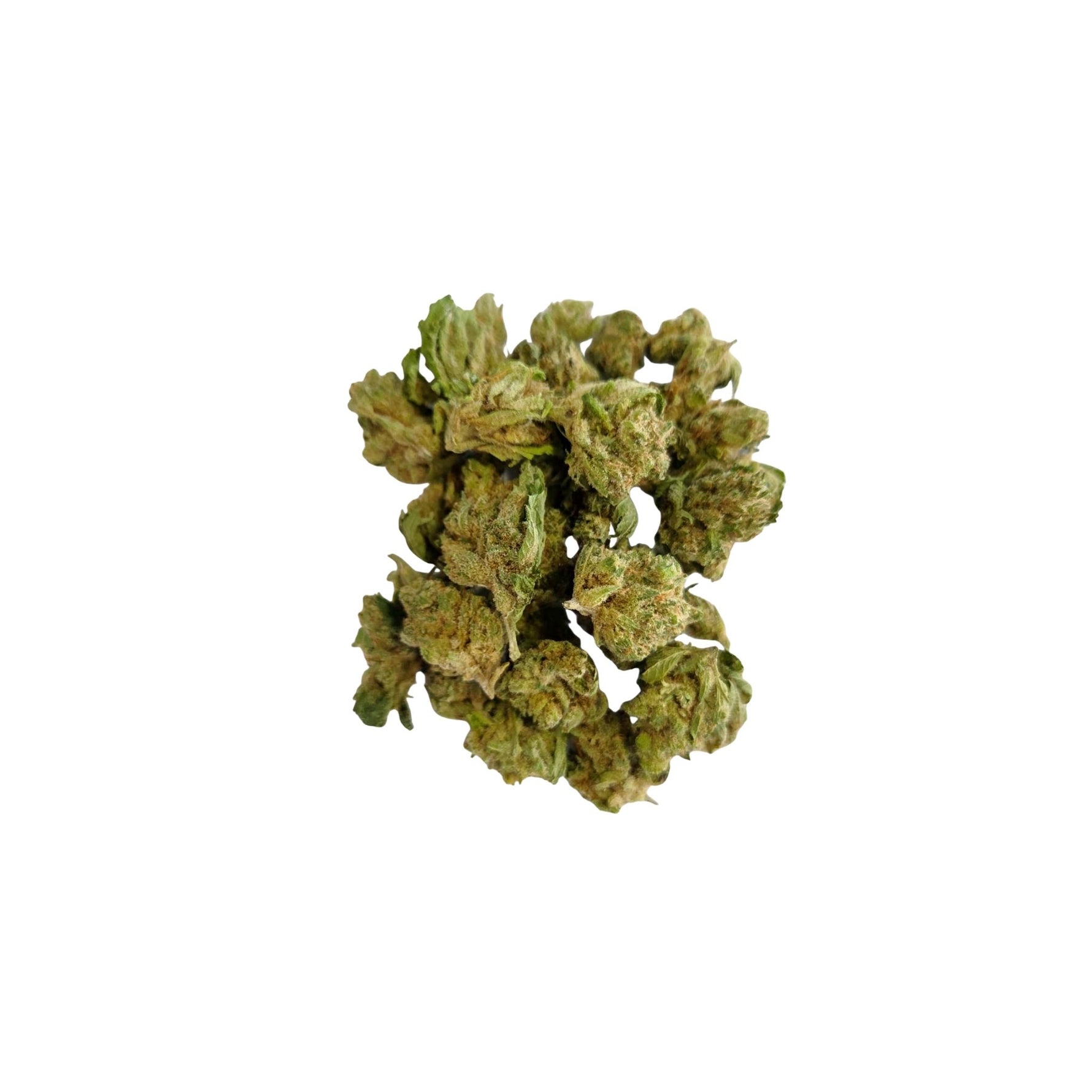 Fleurs Medium bud Charlottes's Angel CBD