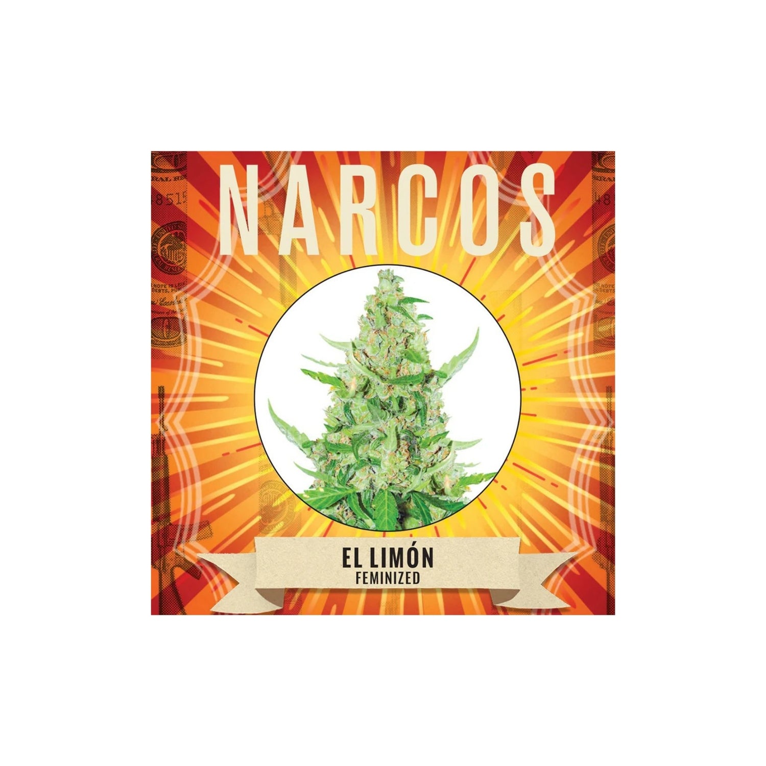 Graines El Limon Narcos