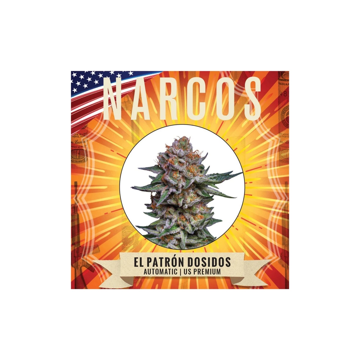 Graines El Patron Dosidos Narcos