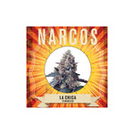 Graines La Chica Narcos