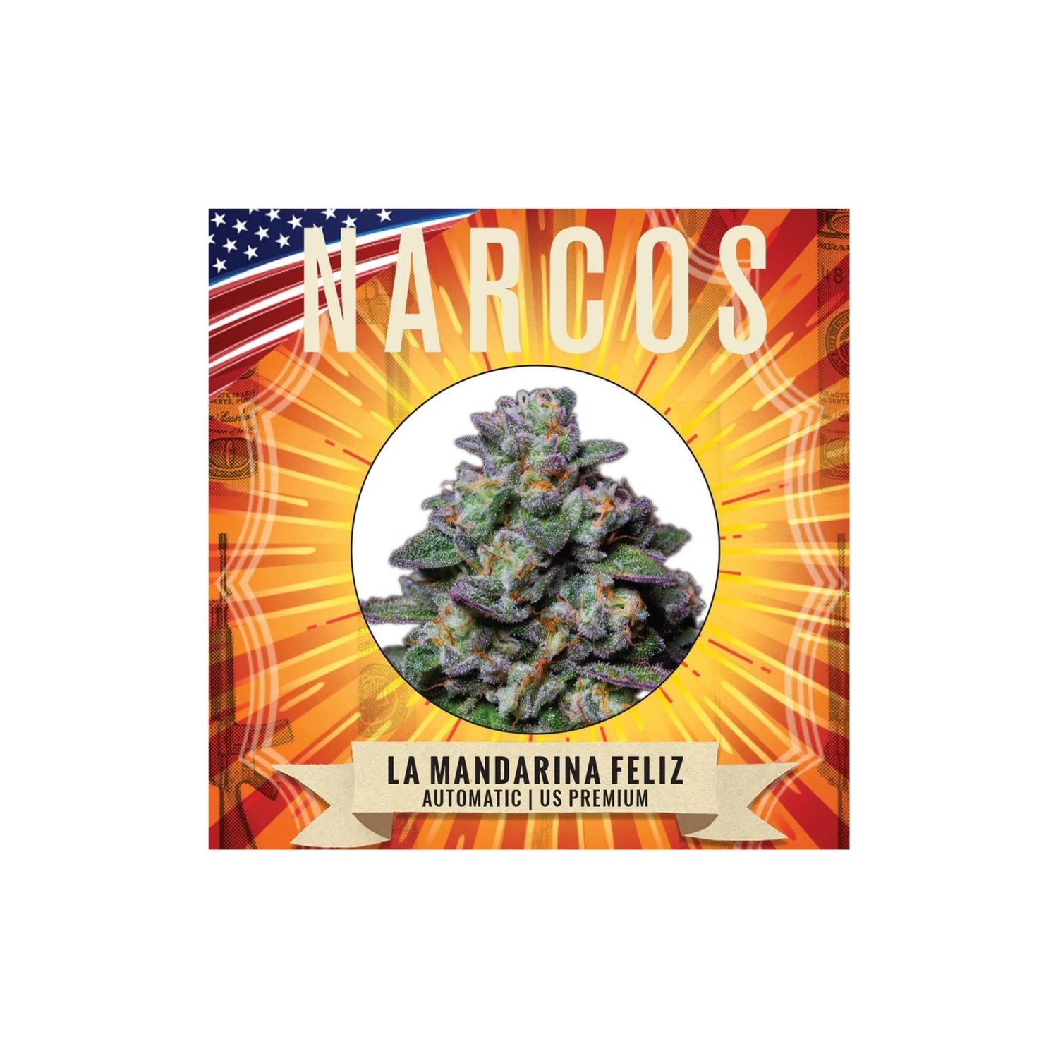 Graines La Mandarina Feliz Narcos
