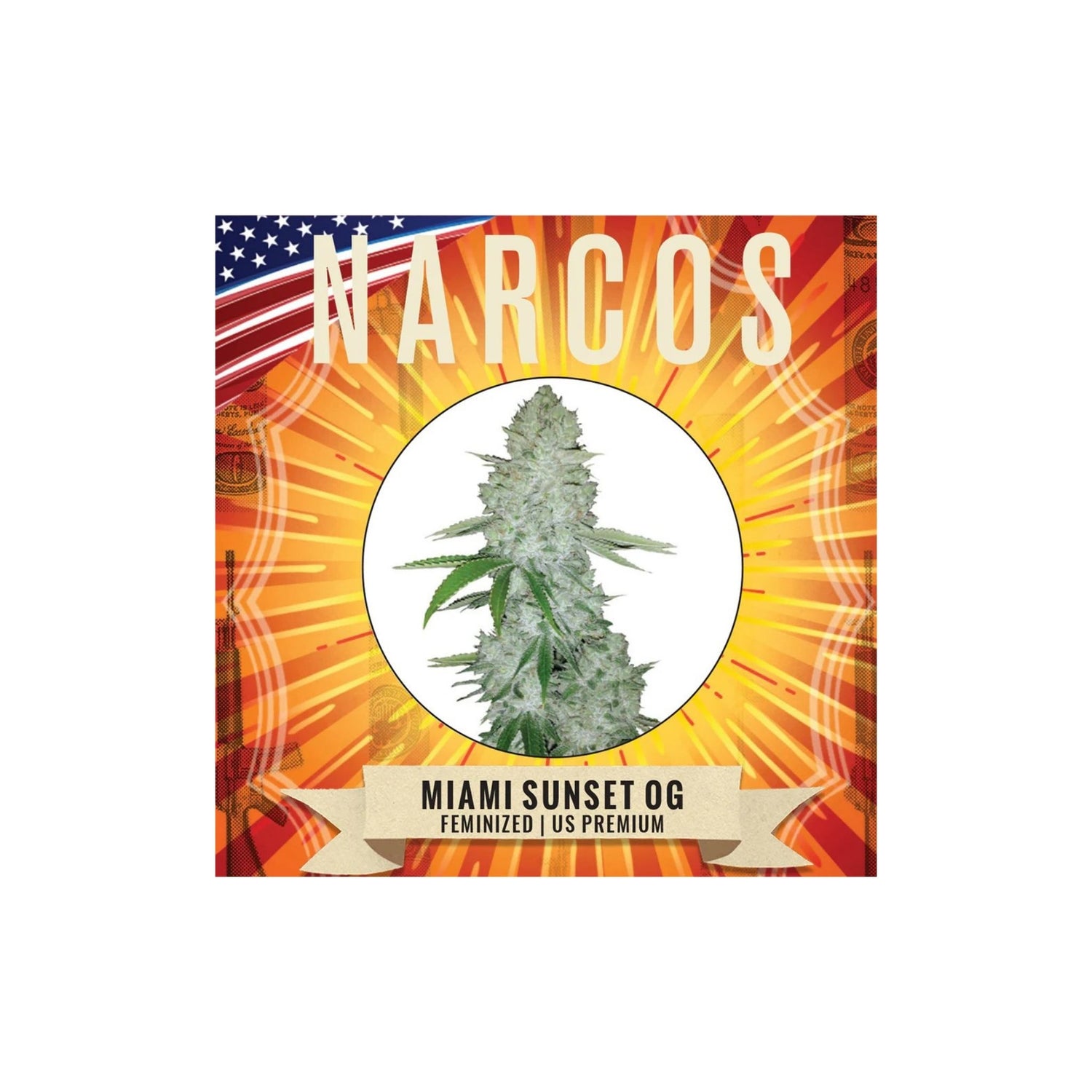Graines Miami Sunset OG Narcos
