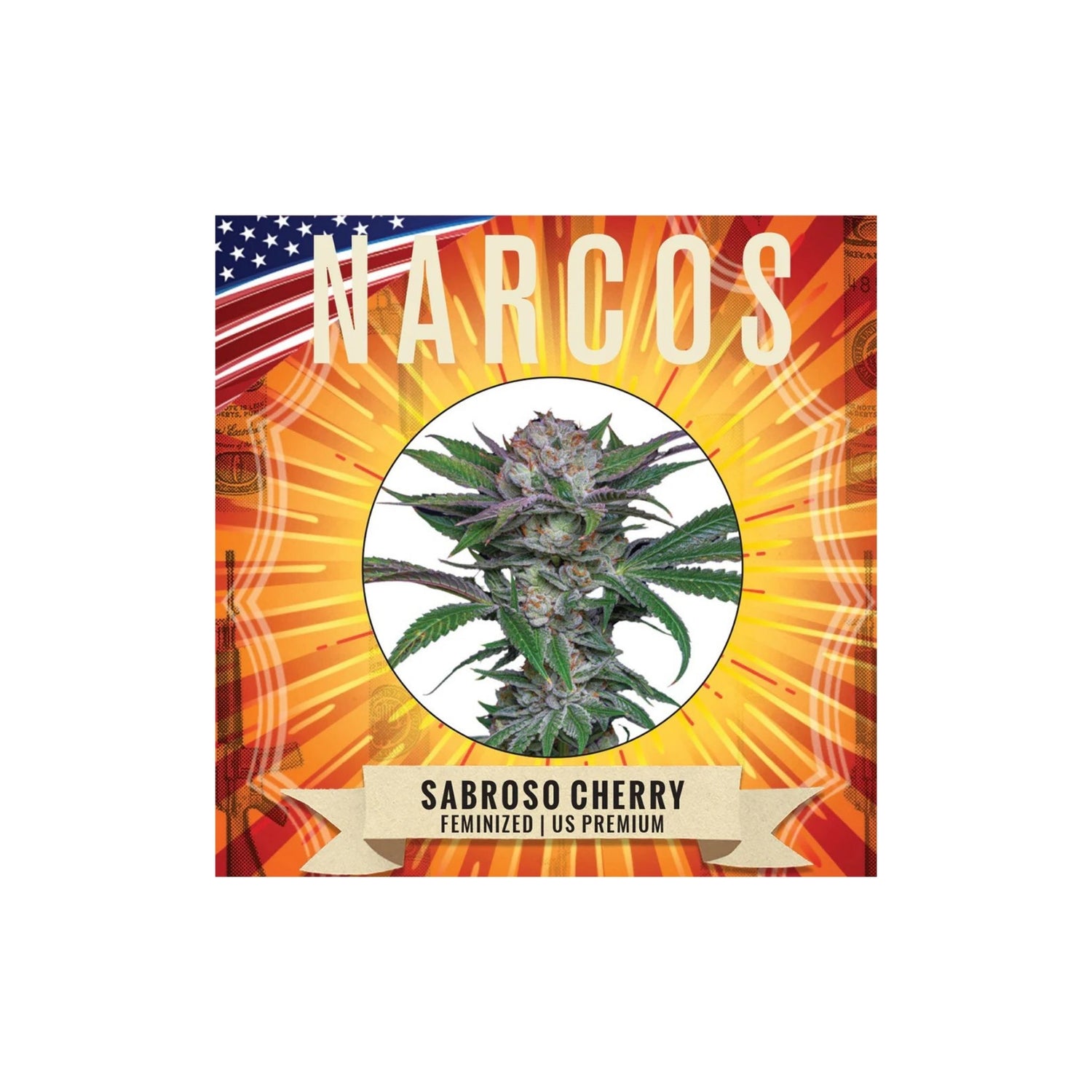 Graines Sabroso Cherry Narcos
