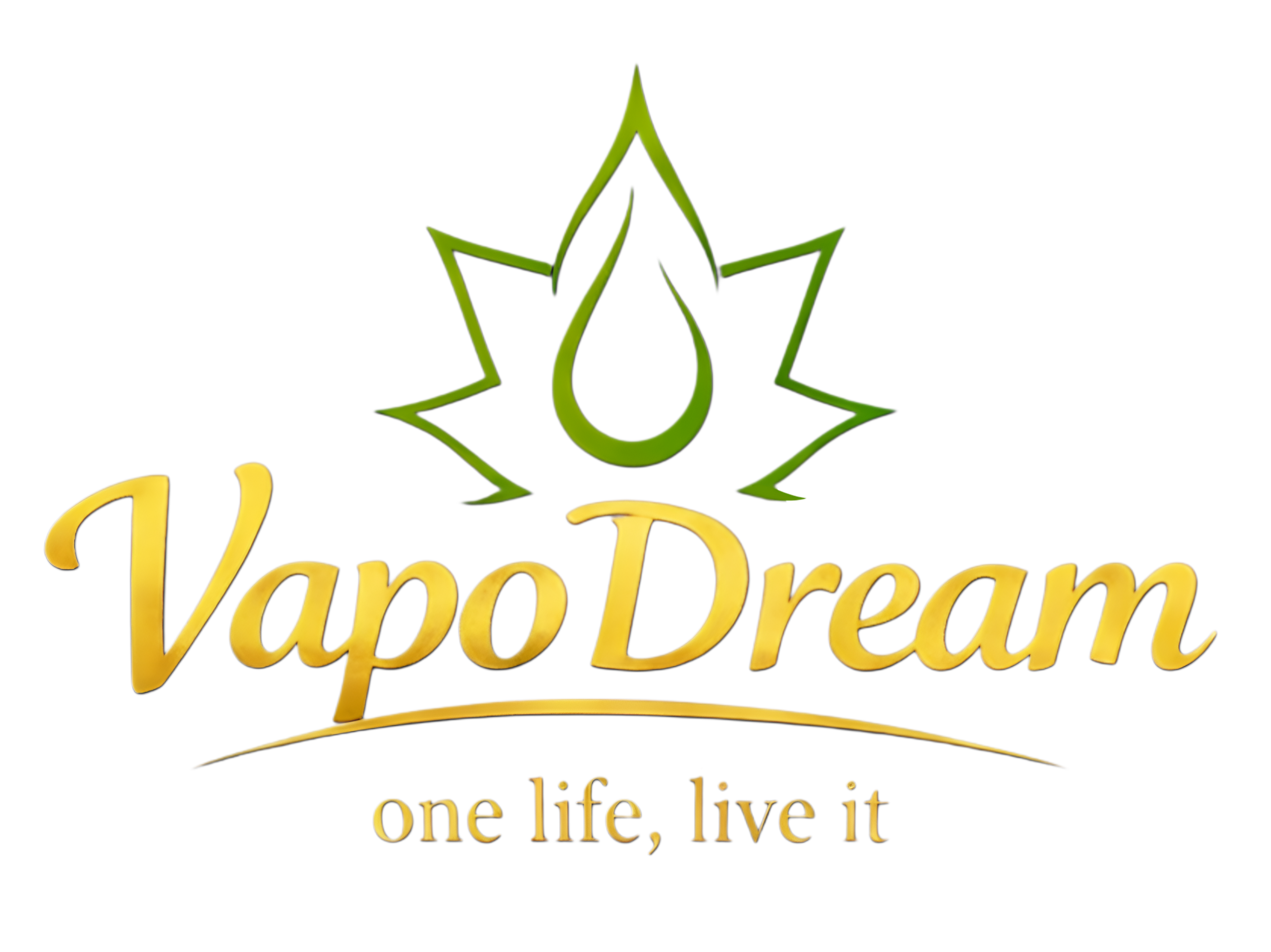 logo vapodream png pour le site