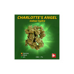 Charlotte's angel indoor hydro