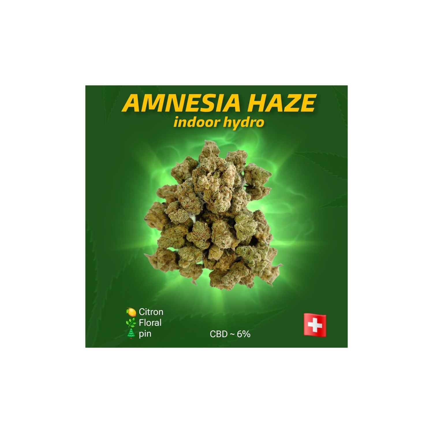 Amnezia haze indoor hydro