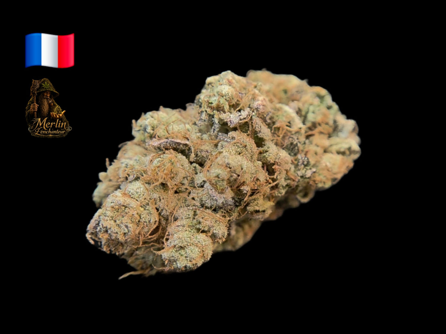 Payton Lemon, fleur CBD organique cultivée par Merlin l'Enchanteur, disponible chez Vapo Dream à Toulon et sur vapodreamcbd.fr.