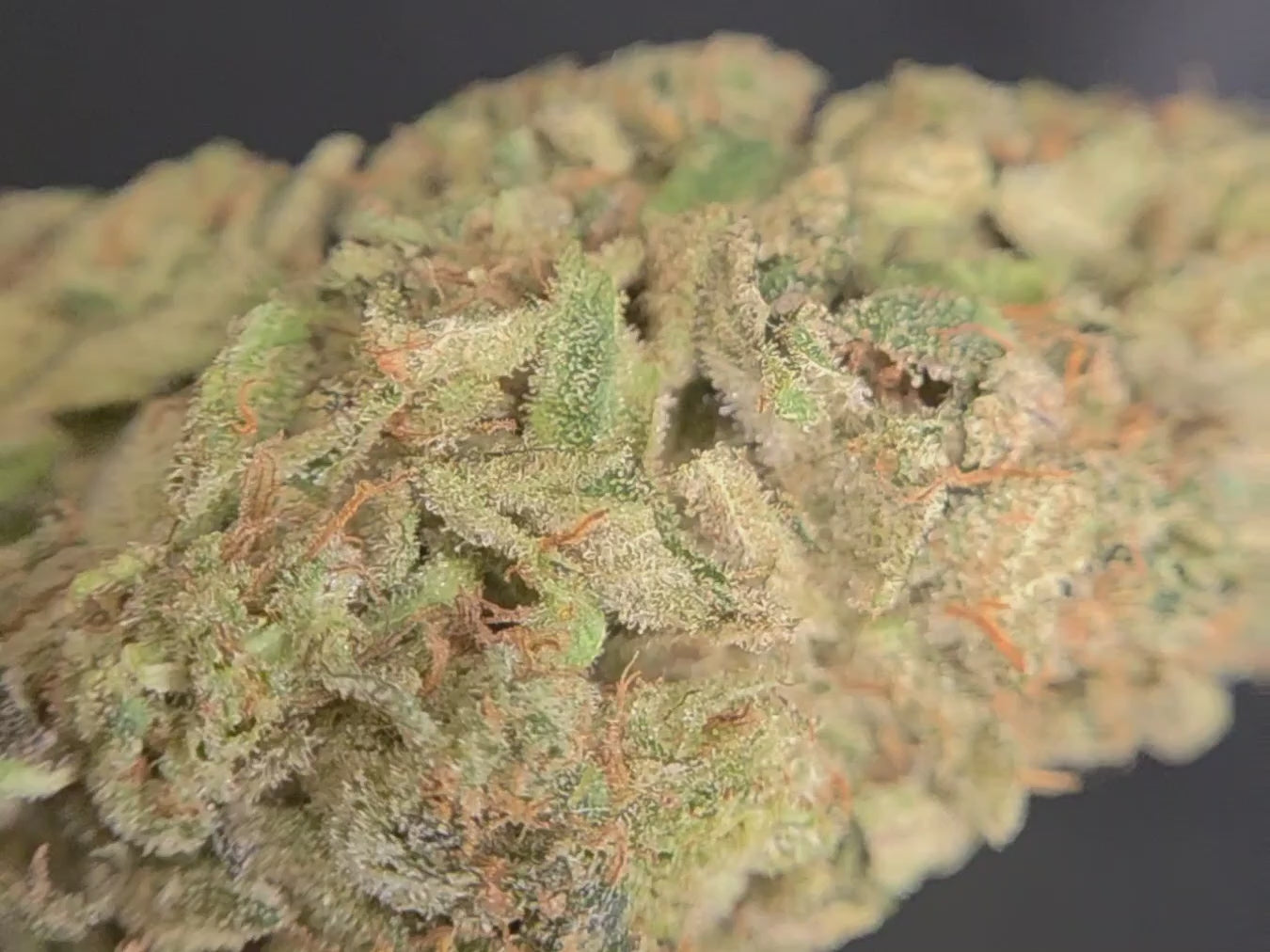 La Saucière - CBD Indoor Organique