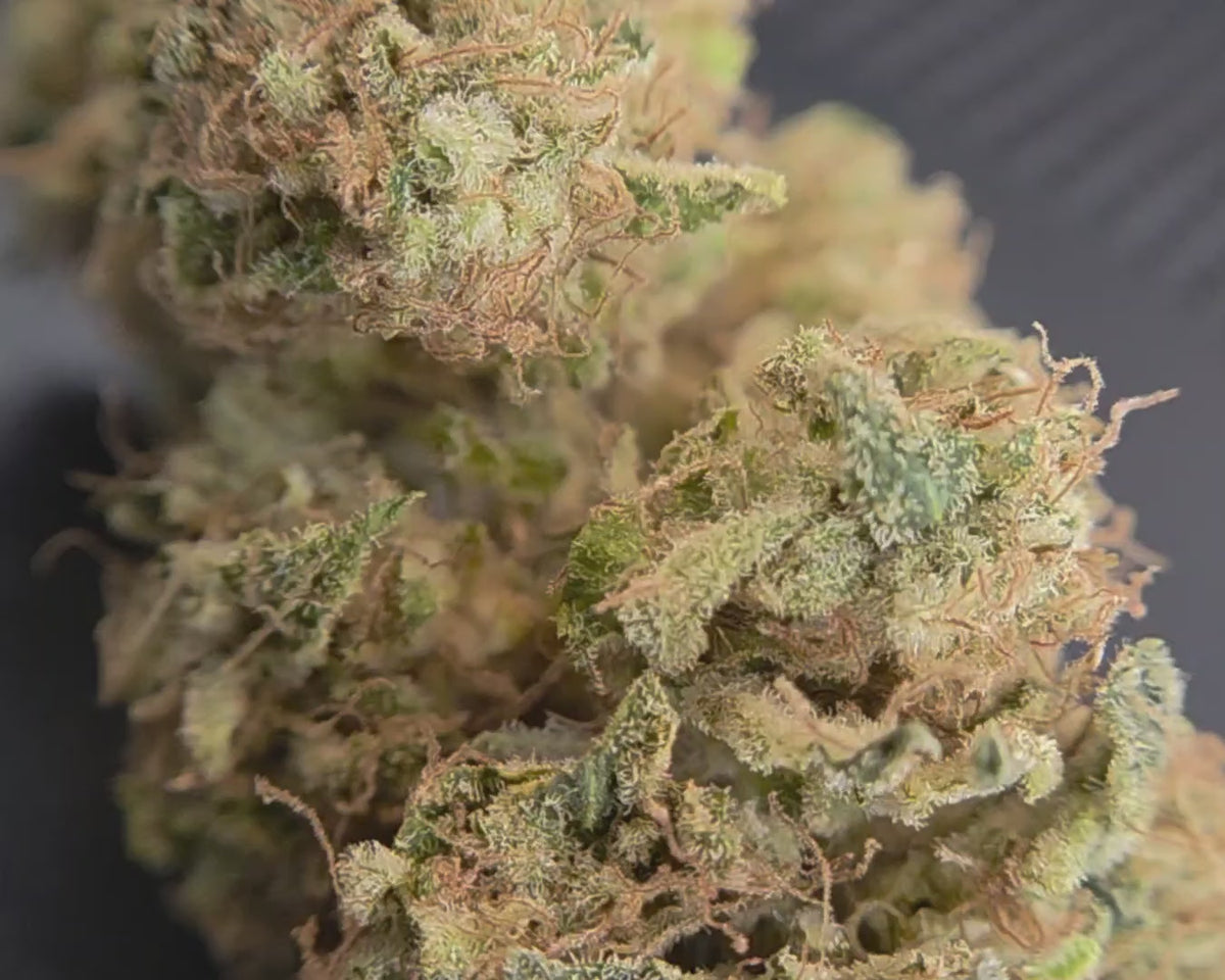 zoom sur la super yak indoor de luxury farm dispo chez vapo dream