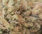 zoom fleur de cbd Payton Lemon de Merlin l'Enchanteur