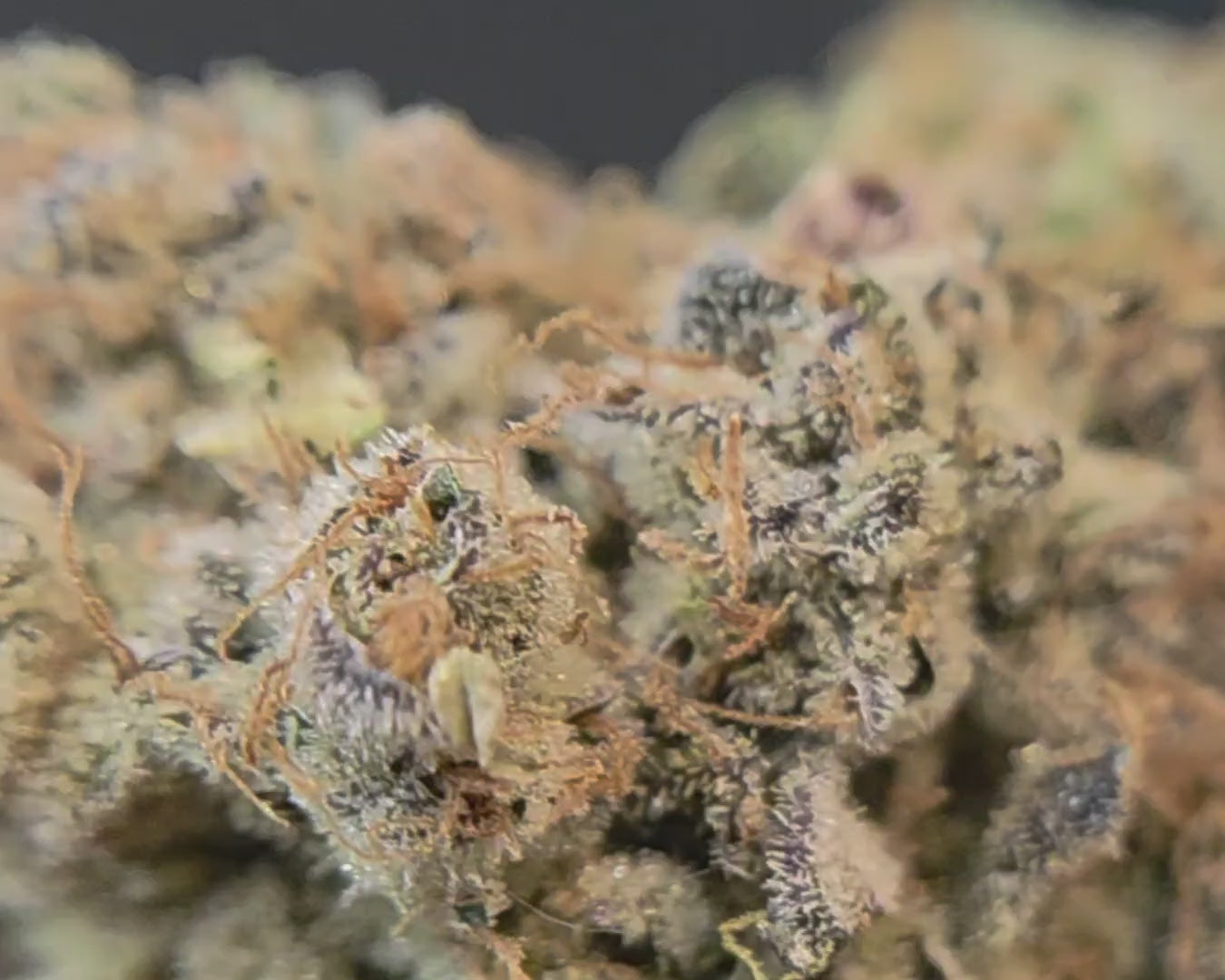 zoom sur la cosmic crumble de merlin l'enchanteur chez vapo dream