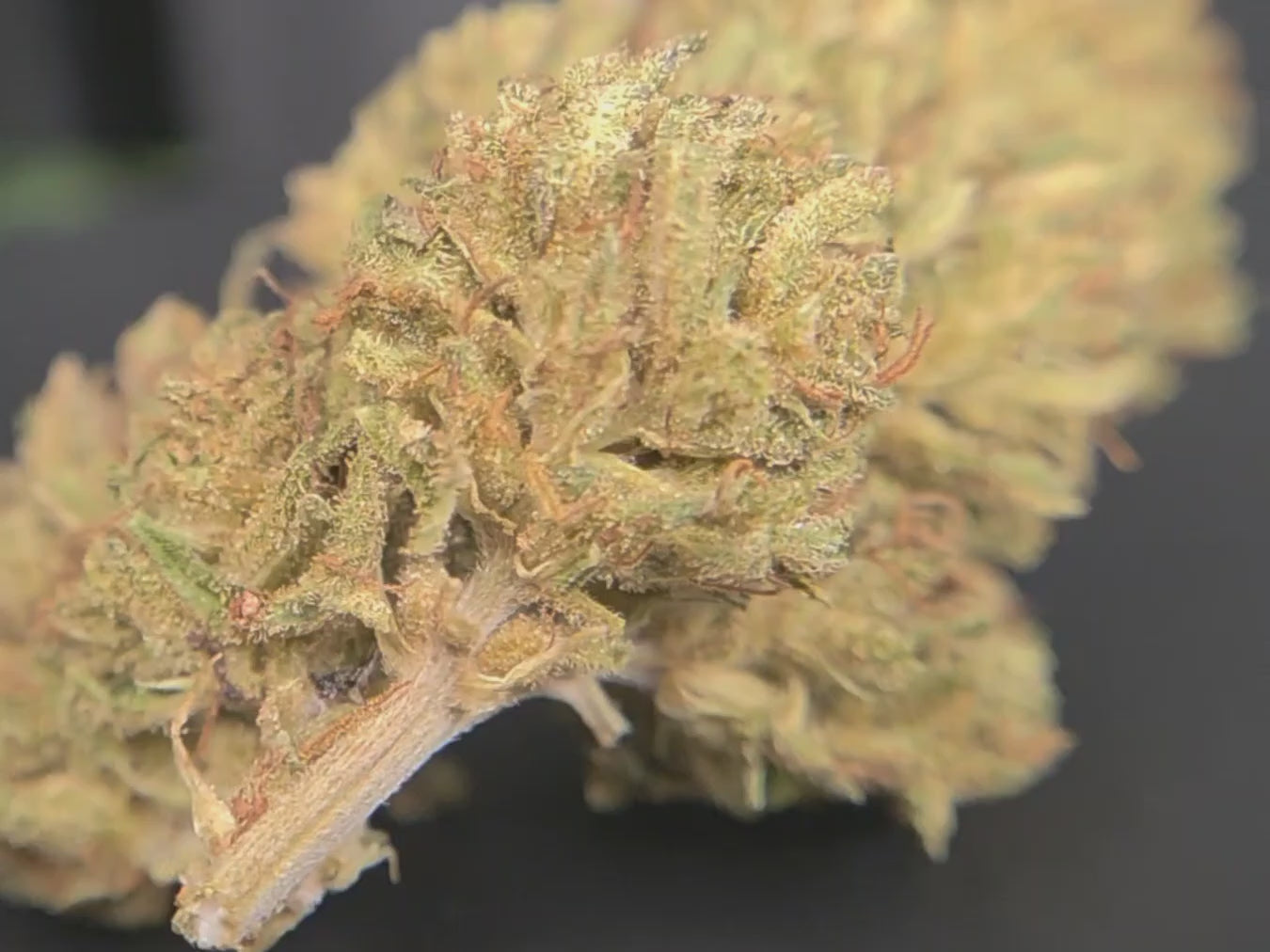 Strawberry Lemonade Kush