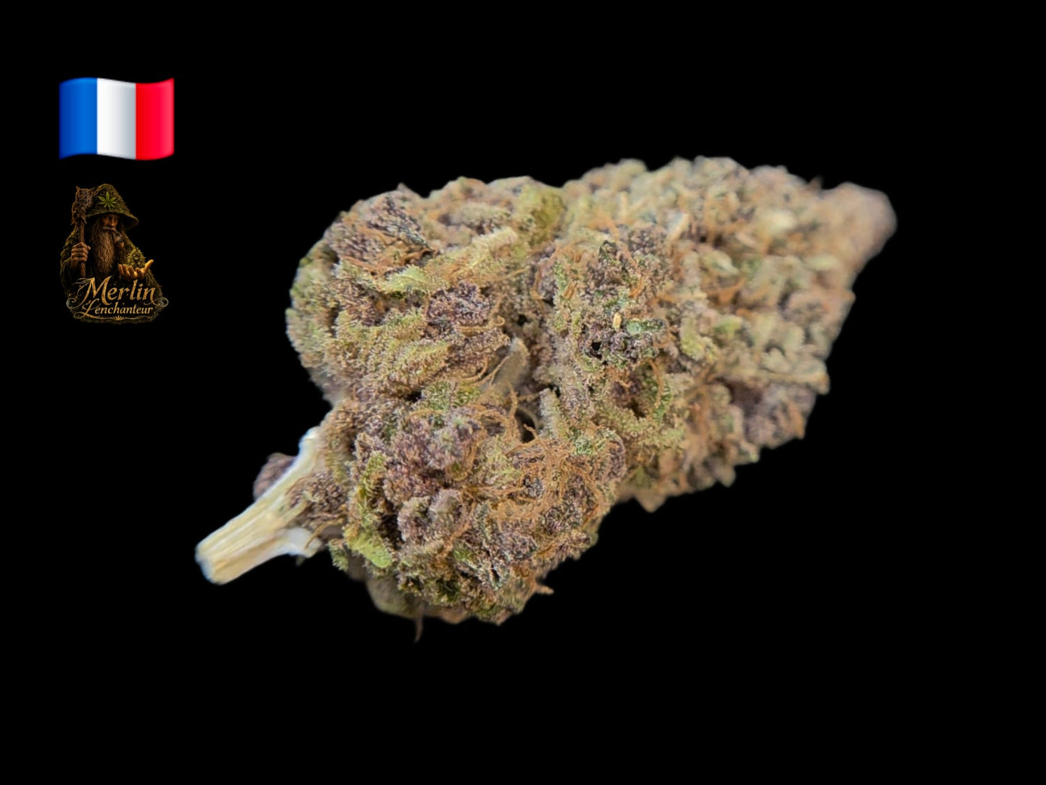 Rainbow Sherbet, fleur CBD organique cultivée par Merlin l'Enchanteur en France, aux arômes fruités, crémeux et légèrement gazy, disponible chez Vapo Dream.