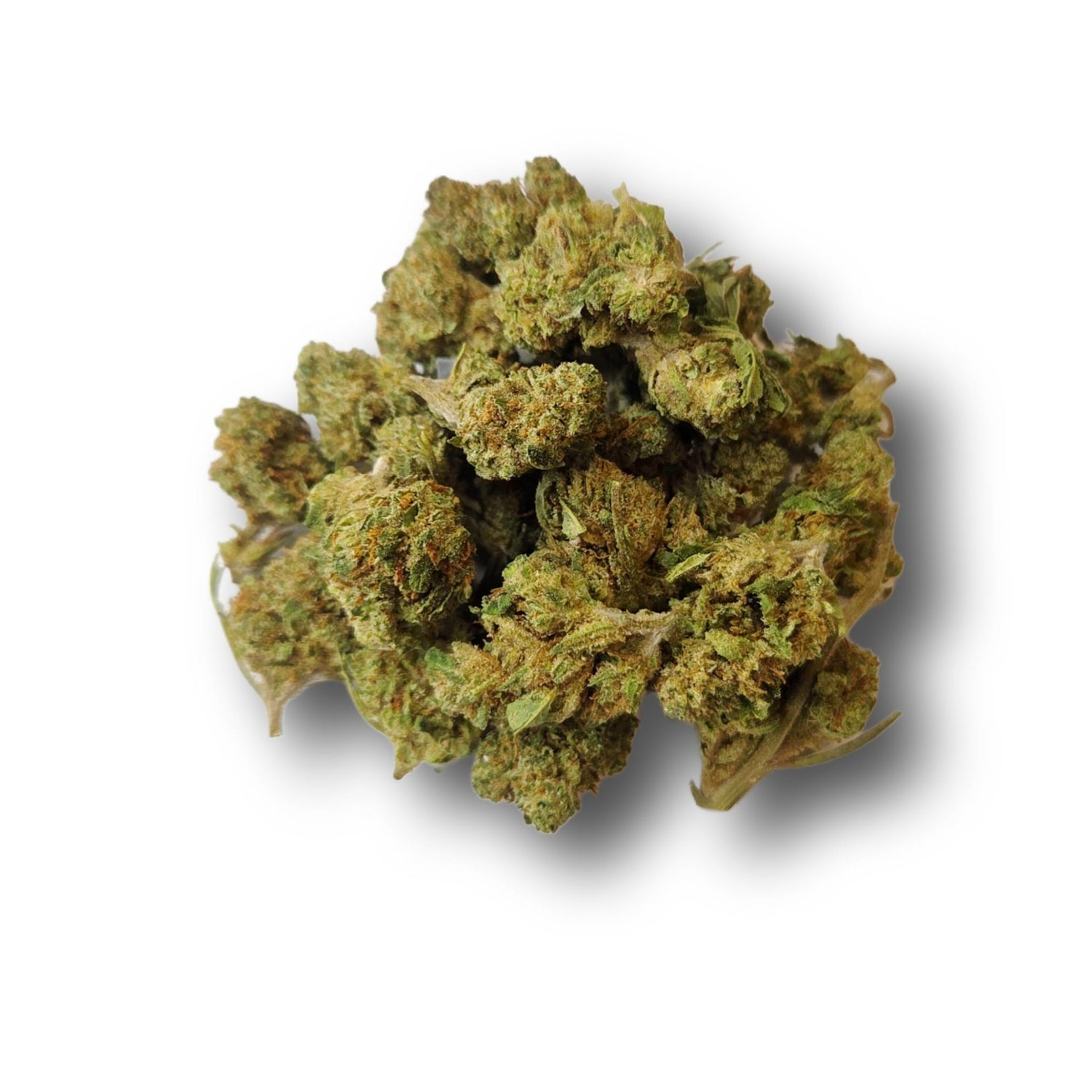 Small bud Ice Cream Cake Hydro CBD