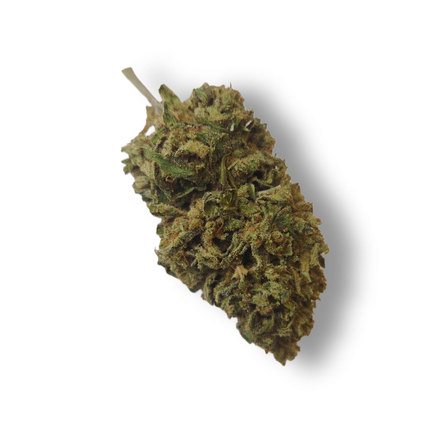 Charlotte - Les Fleurs de Dame Nature