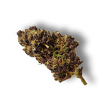 Fleur CBD Rose Sauvage outdoor française 12 % CBD – La Fleur des Anges