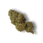 Fleur CBD Skunk Jam outdoor française 9,8 % CBD – La Fleur des Anges