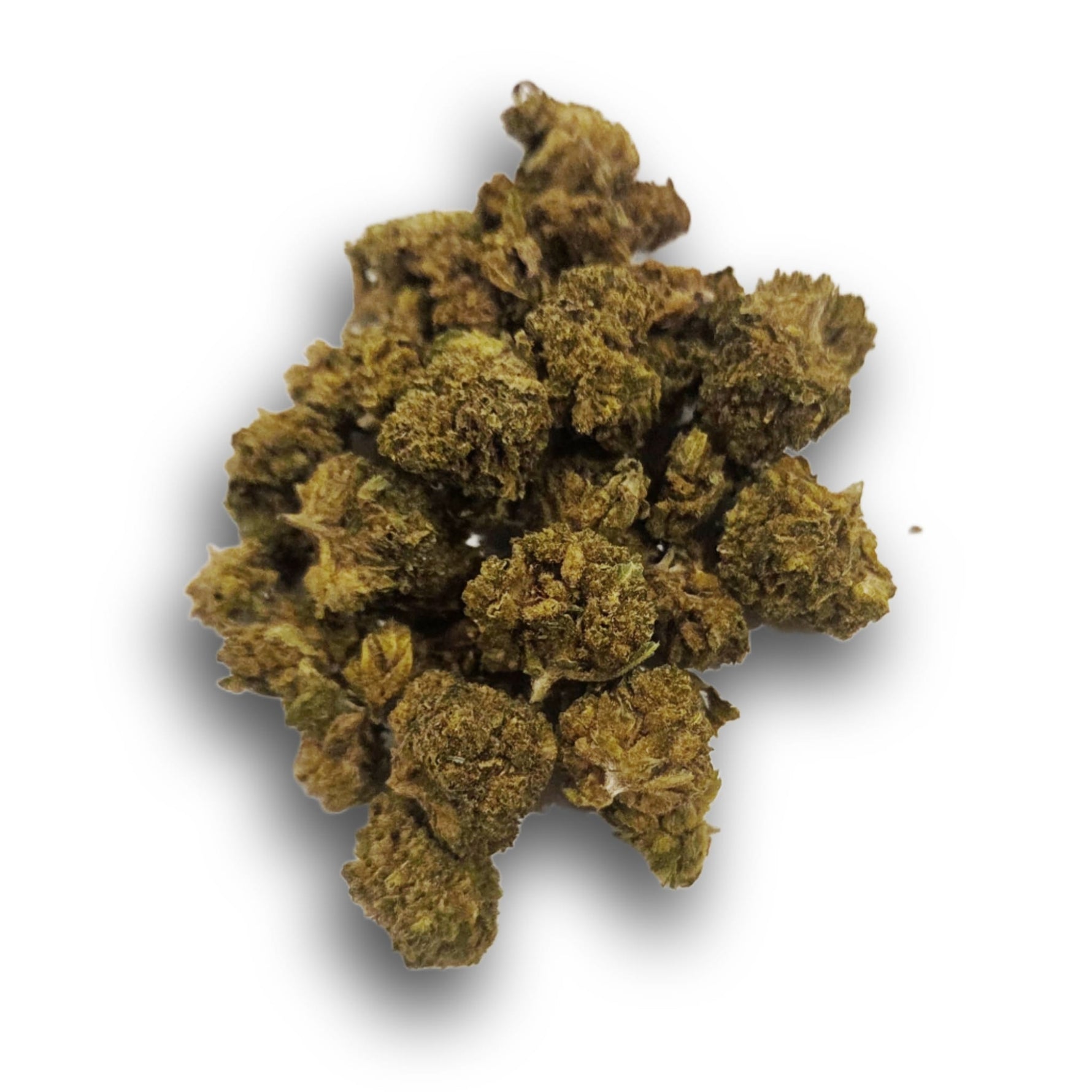 Small Bud Fanta Haze Indoor CBD – Fleur italienne 7 % CBD, arômes fruités et acidulés, notes d’agrumes pétillantes, par Vapo Dream 🍊