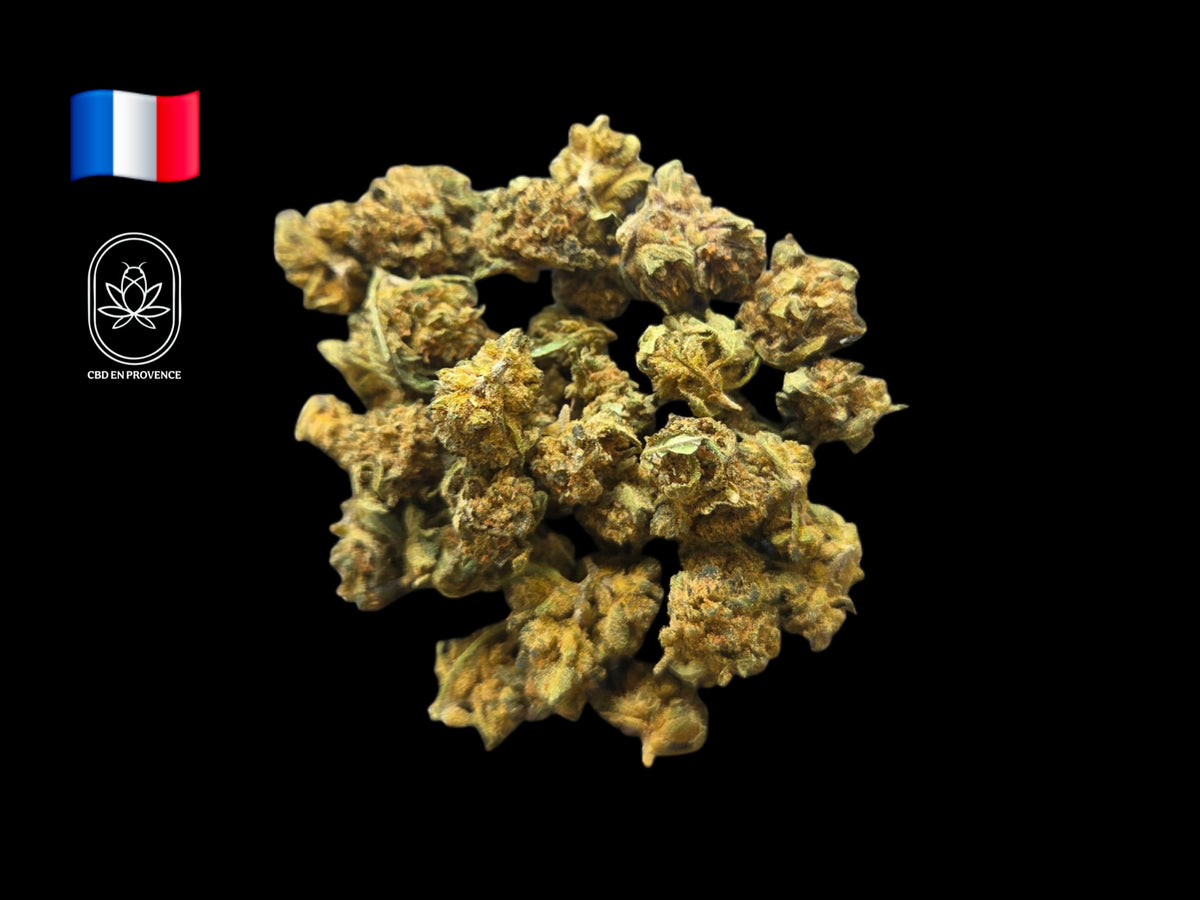 Small Bud Royal Berry CBD Greenhouse française – CBD en Provence – Vapo Dream