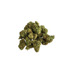Small bud tropical indoor