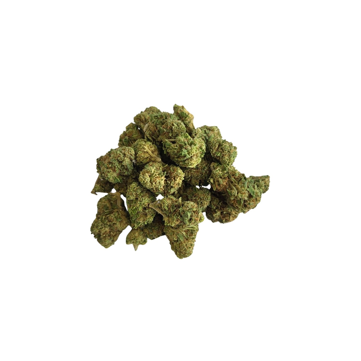 Small bud tropical indoor