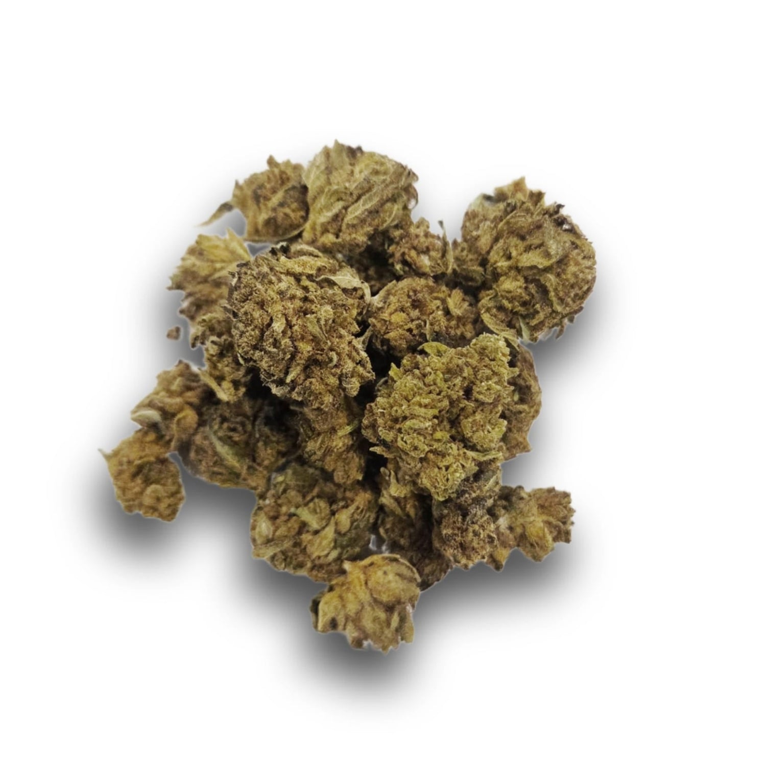 Small Bud White Widow Indoor CBD – Fleur italienne premium 5 % CBD, arômes floraux et boisés, qualité Vapo Dream 