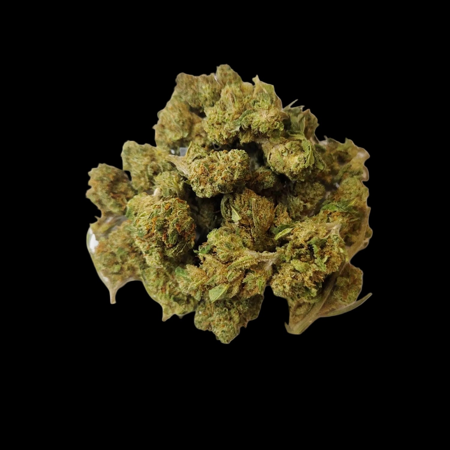 small bud blueberry hydro chez vapodream