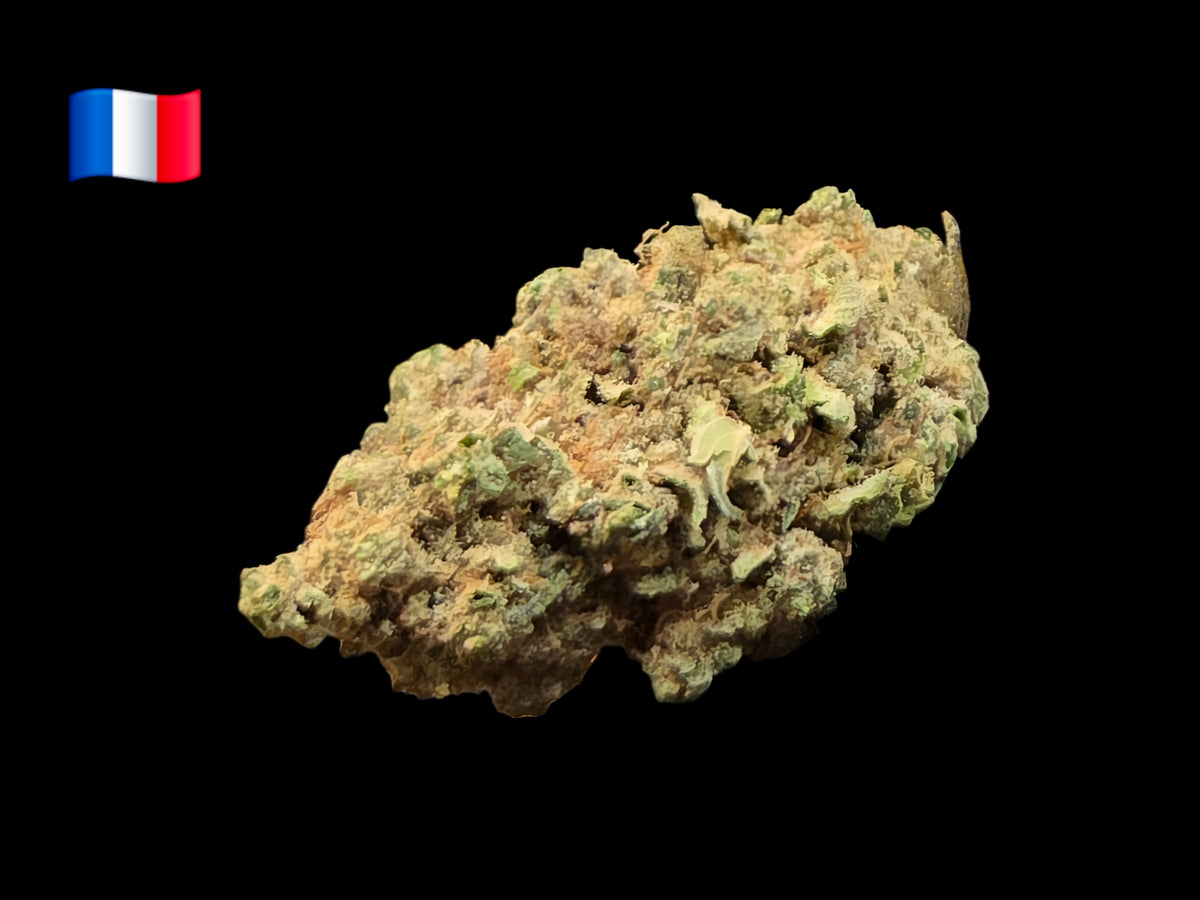 Fleur CBD Strawberry Split Indoor cultivée en France, génétique High Alpine Genetics, sélection Vapo Dream.